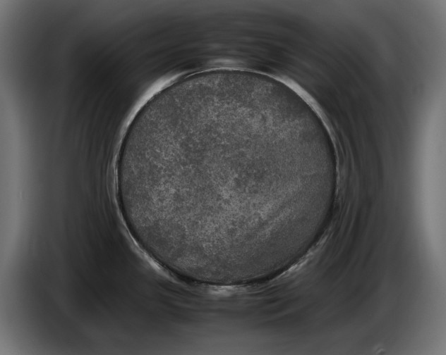 X0000086761341200705041440