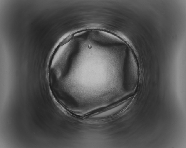 X0000086761342200705041440