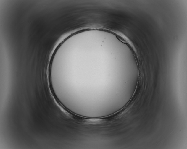 X0000086761343200705041440