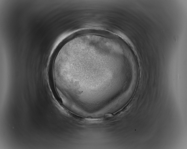 X0000086761344200705041440