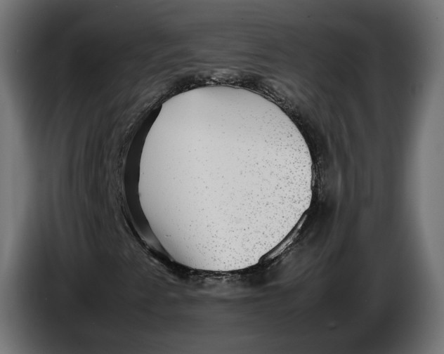 X0000086761345200705041440