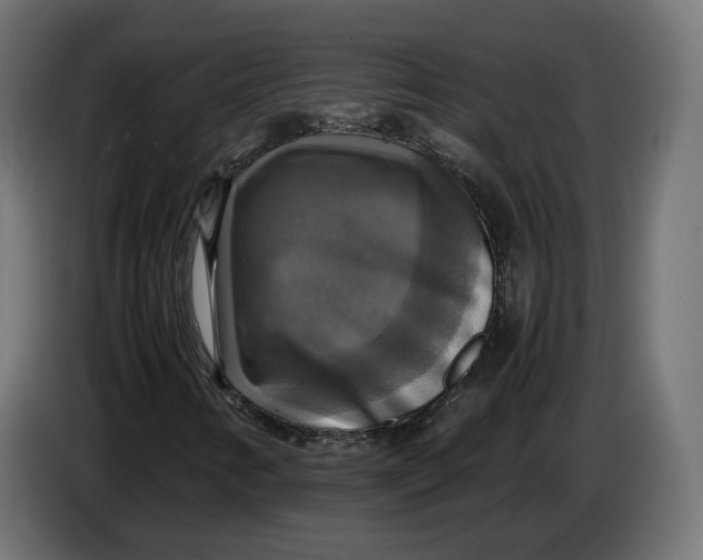 X0000086761346200705041440