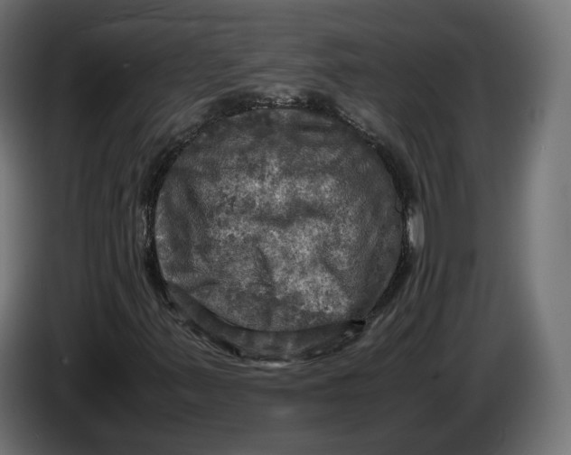 X0000086761347200705041440