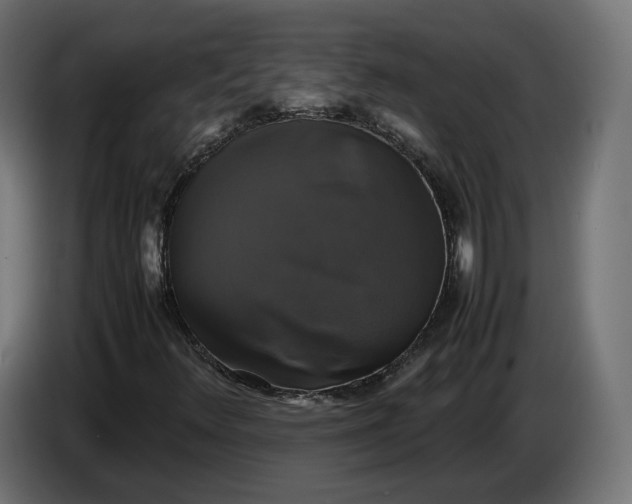 X0000086761348200705041440