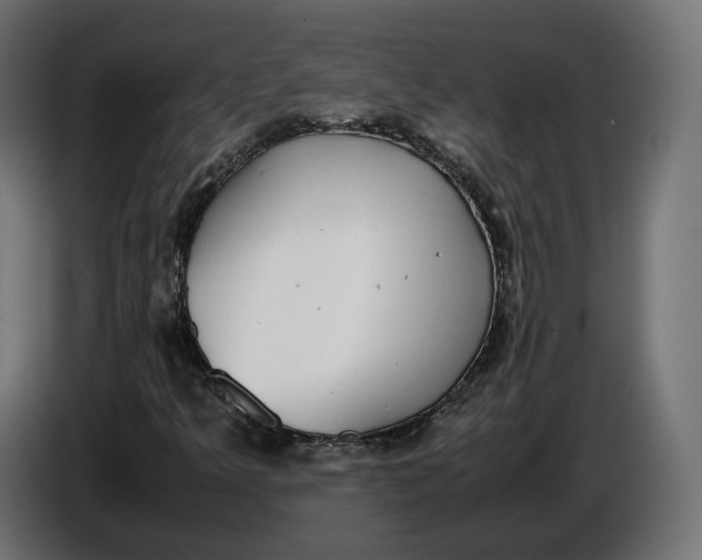 X0000086761349200705041440