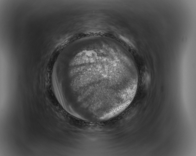 X0000086761350200705041440