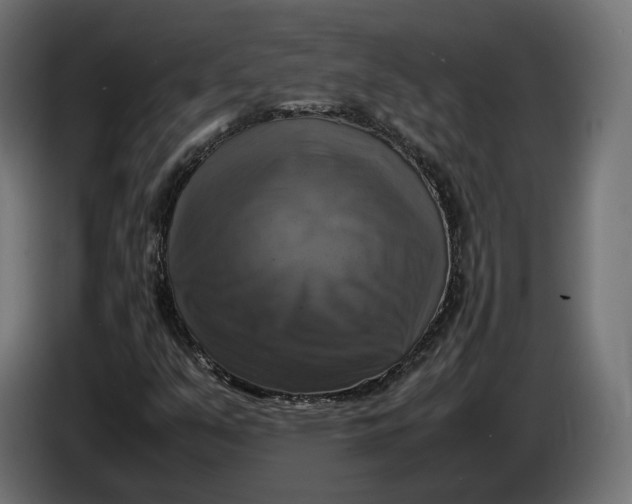 X0000086761351200705041440