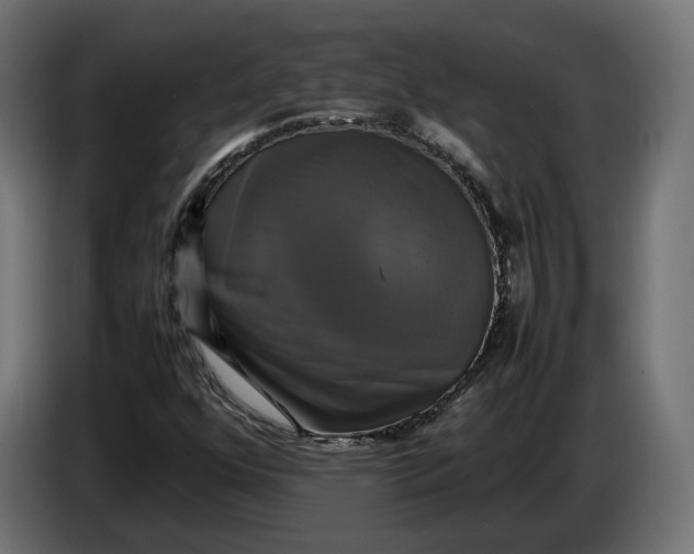 X0000086761352200705041440