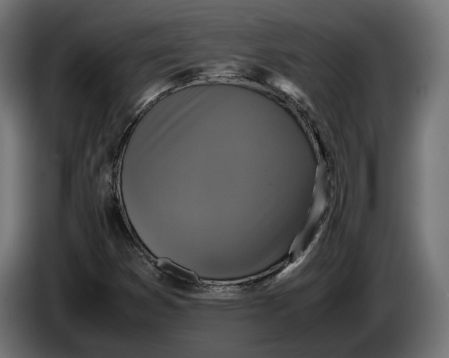 X0000086761353200705041440