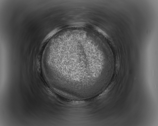 X0000086761354200705041440