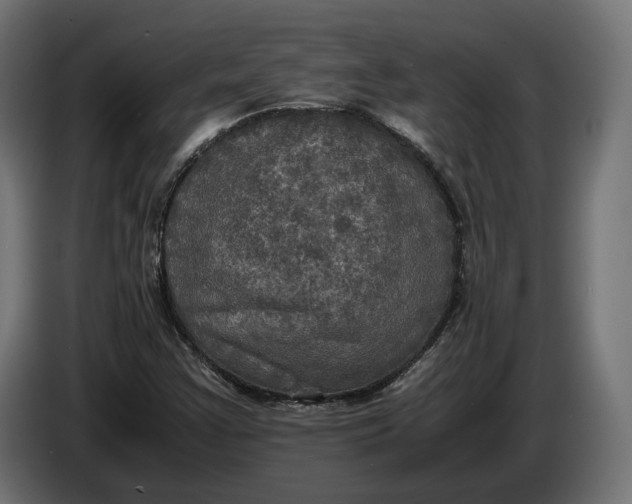 X0000086761355200705041440