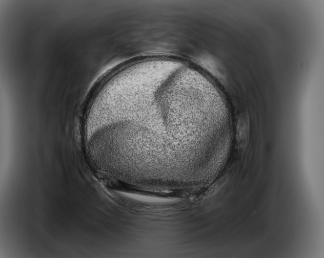 X0000086761356200705041440