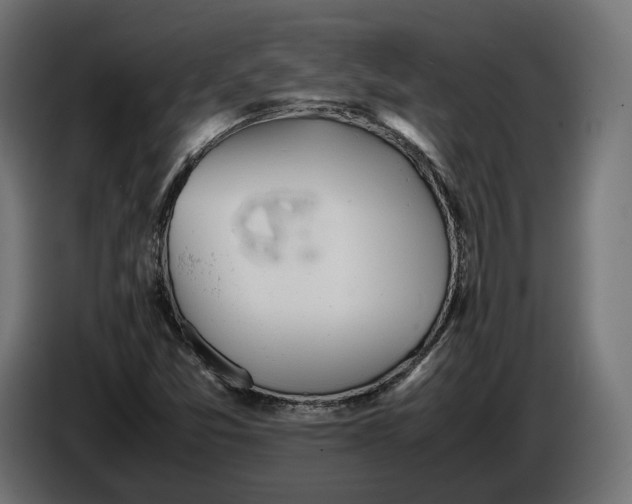 X0000086761357200705041440