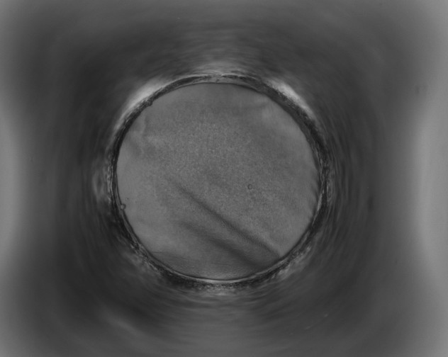 X0000086761358200705041440