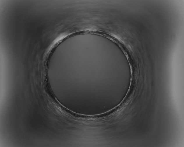 X0000086761359200705041440