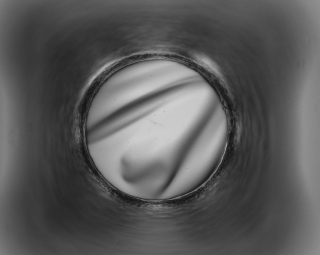 X0000086761360200705041440