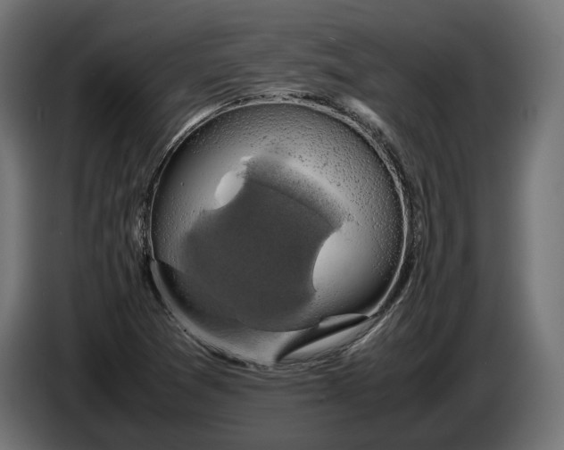 X0000086761361200705041440