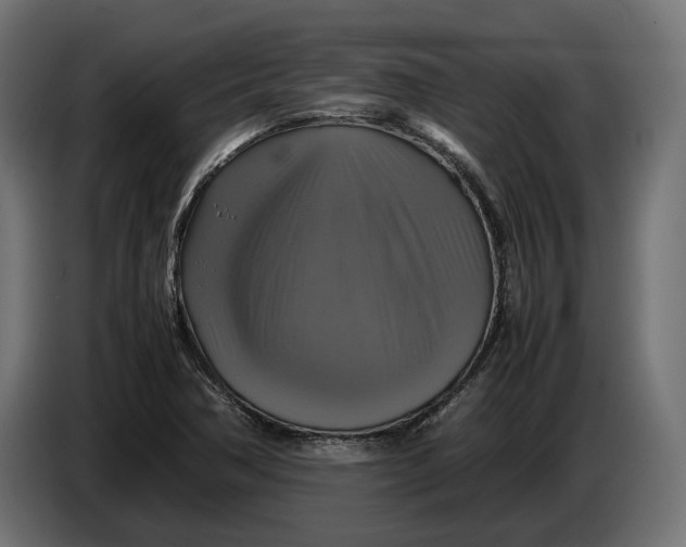 X0000086761362200705041440