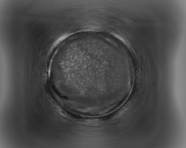 X0000086761363200705041440