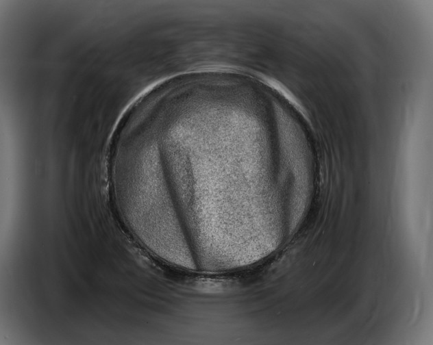 X0000086761364200705041440