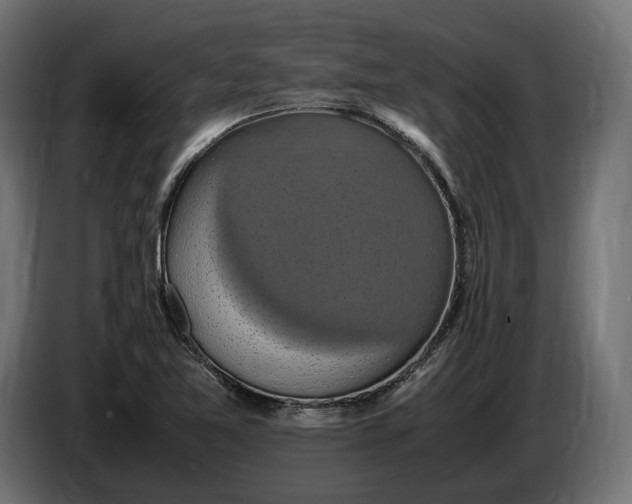 X0000086761365200705041440