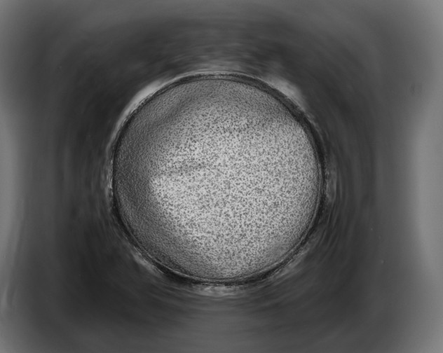 X0000086761366200705041440