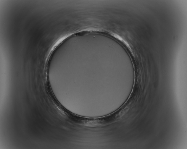 X0000086761367200705041440