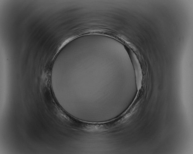 X0000086761369200705041440