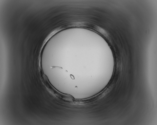 X0000086761370200705041439