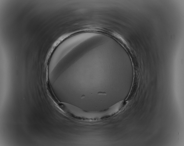 X0000086761371200705041439