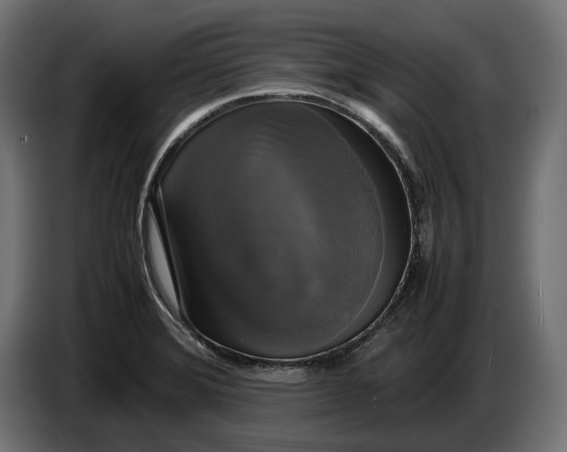 X0000086761372200705041439