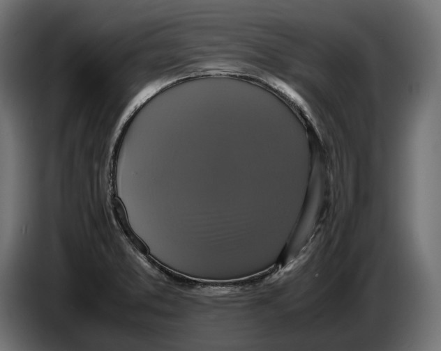 X0000086761373200705041439