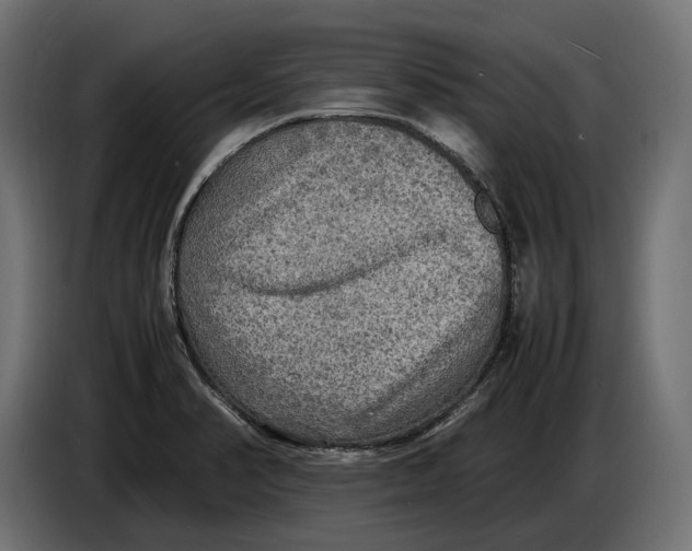 X0000086761374200705041439