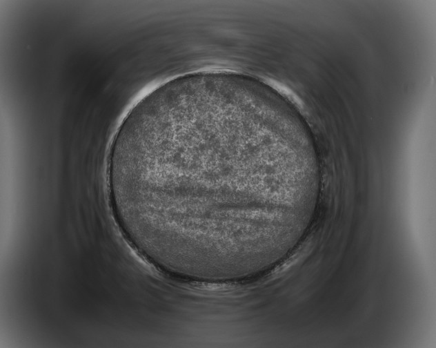 X0000086761375200705041439