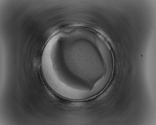 X0000086761377200705041439