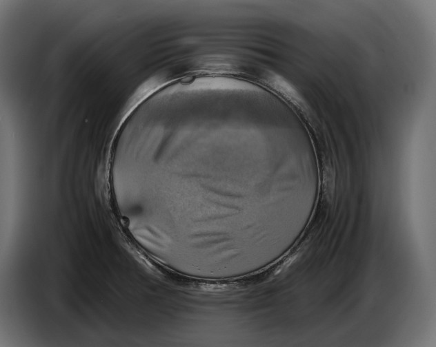 X0000086761378200705041439