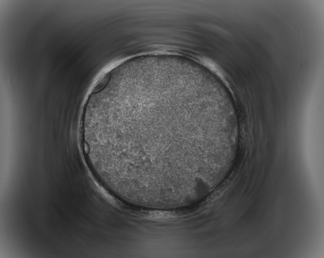 X0000086761379200705041439