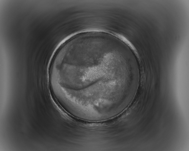 X0000086761380200705041439