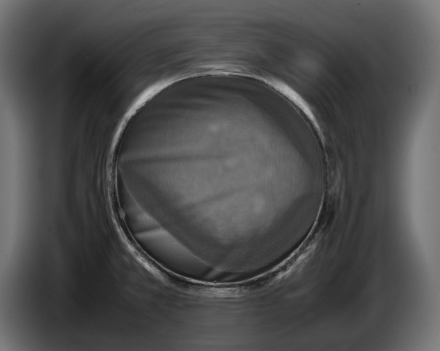 X0000086761381200705041439