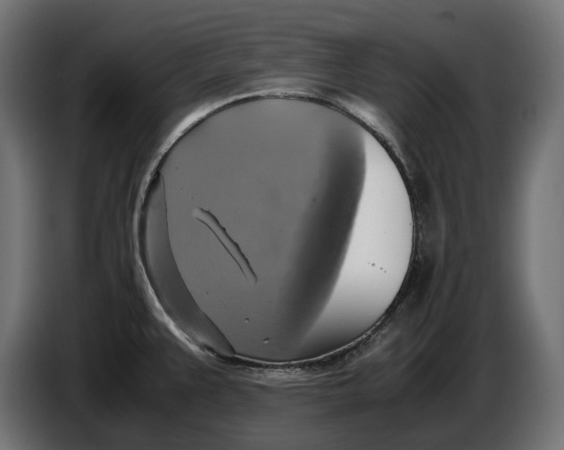 X0000086761383200705041439