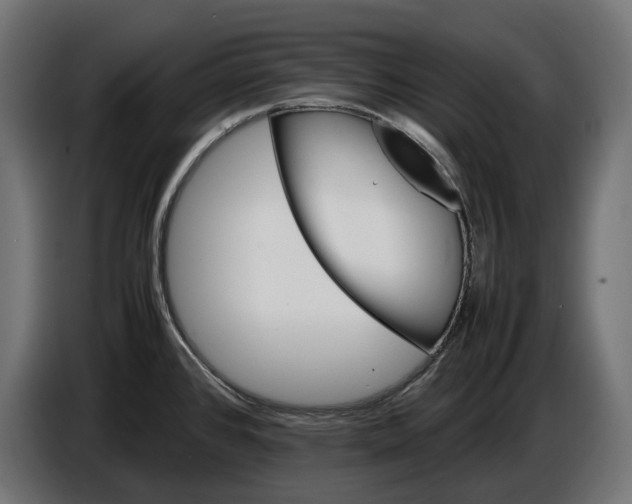 X0000086761384200705041439