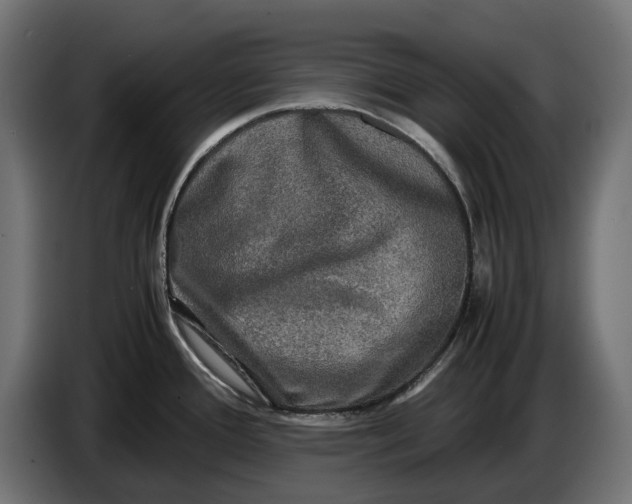 X0000086761388200705041439