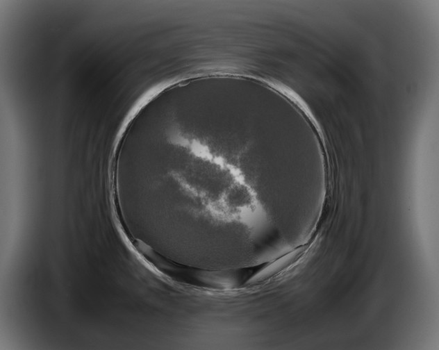 X0000086761389200705041439