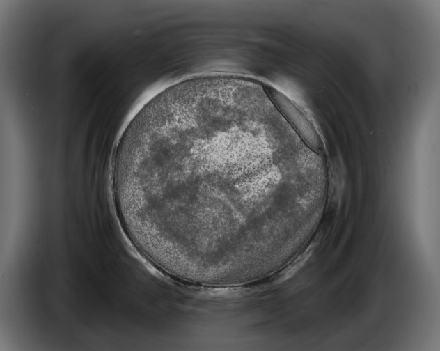 X0000086761390200705041439