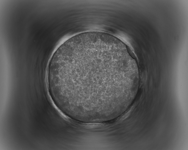 X0000086761391200705041439