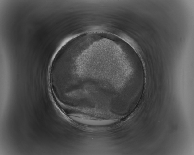 X0000086761392200705041439