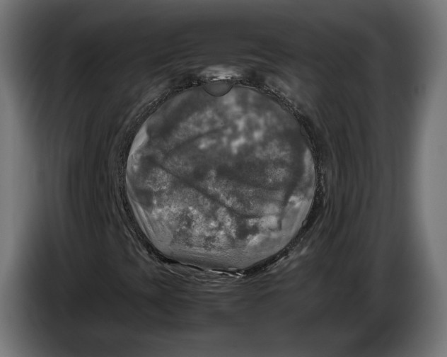 X0000086761393200705041439