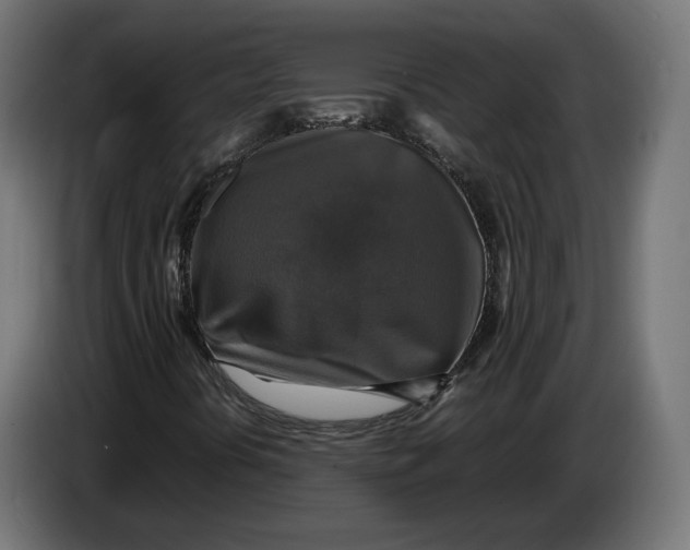 X0000086761394200705041439