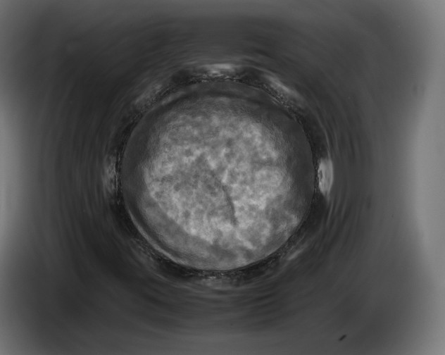 X0000086761395200705041439