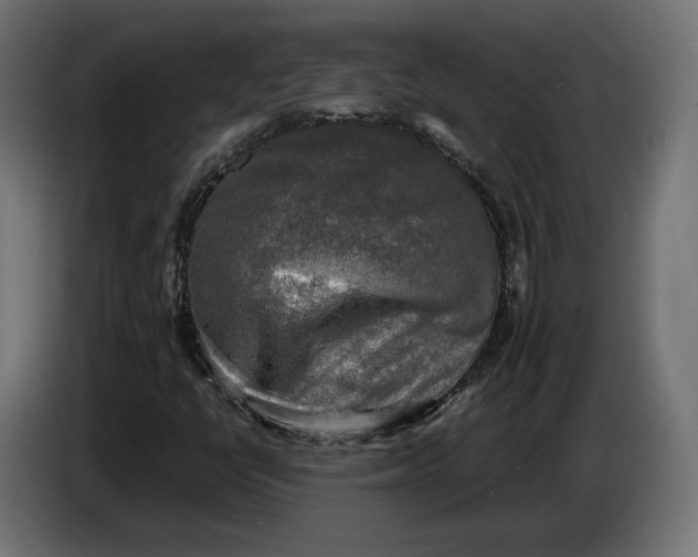 X0000086761398200705041439